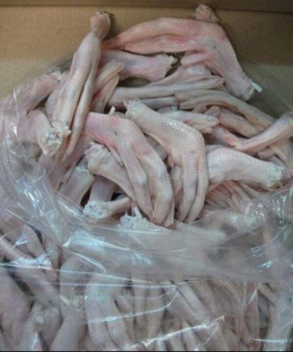 Frozen Duck Feet - Image 2