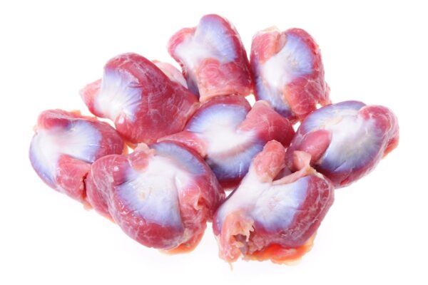 Turkey Gizzard
